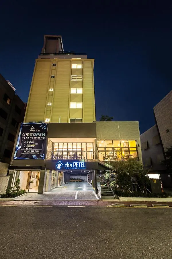 The Petel Premium Suite Busan