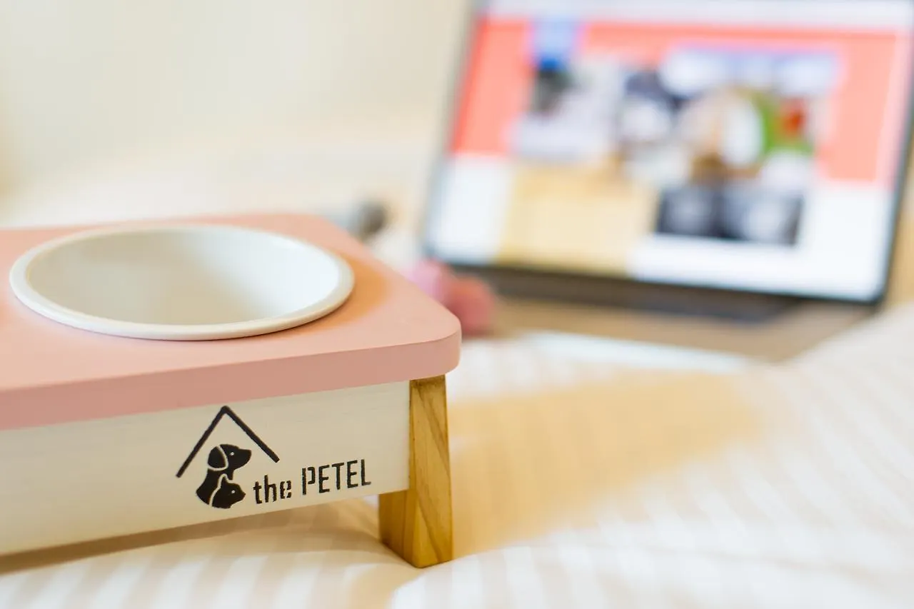 The Petel Premium Suite Busan