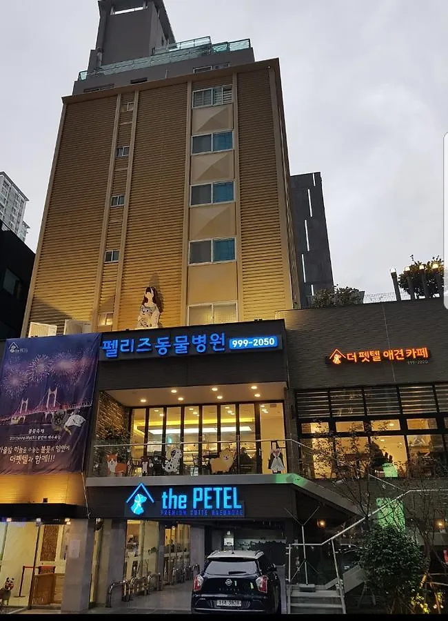 The Petel Premium Suite Busan