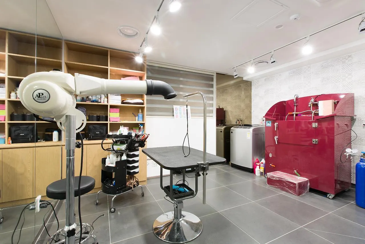 The Petel Premium Suite Busan Hotell